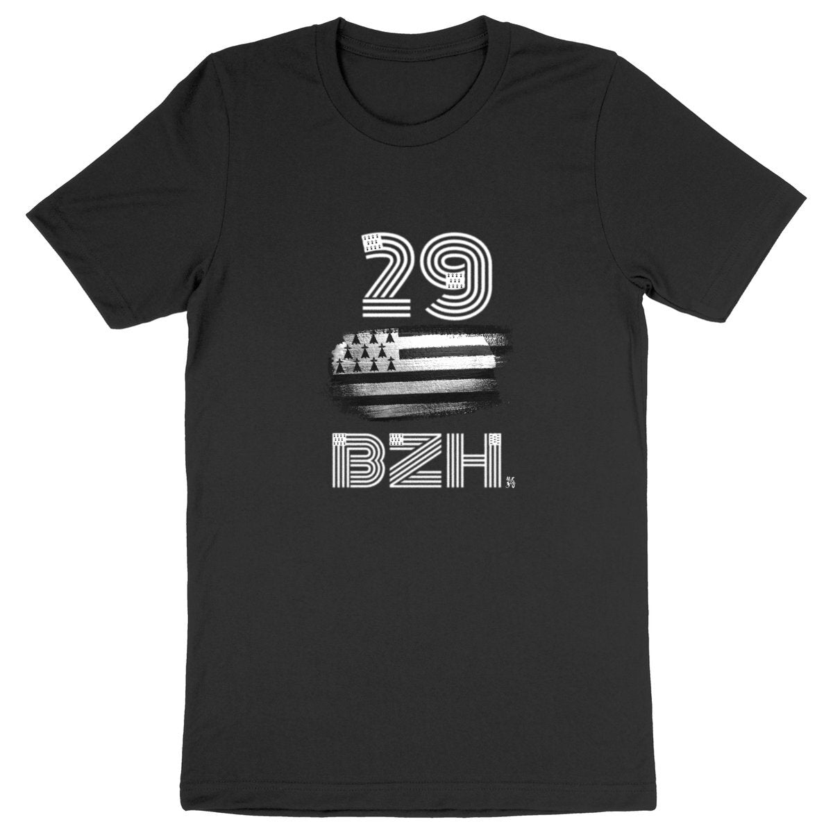 BZH-numero 29